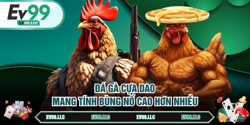 Đá Gà Cựa Dao - Môn Giải Trí Cực Kỳ Hot Cho Dân Cược 3 Đá gà cựa dao mang tính bùng nổ cao hơn nhiều